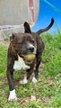 NERON Imagen 1
